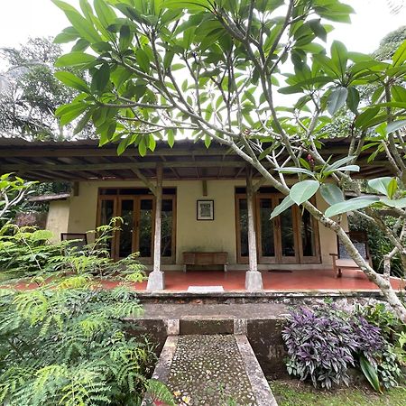 Carik Tangis Boutique Homestay Jatiluwih Extérieur photo