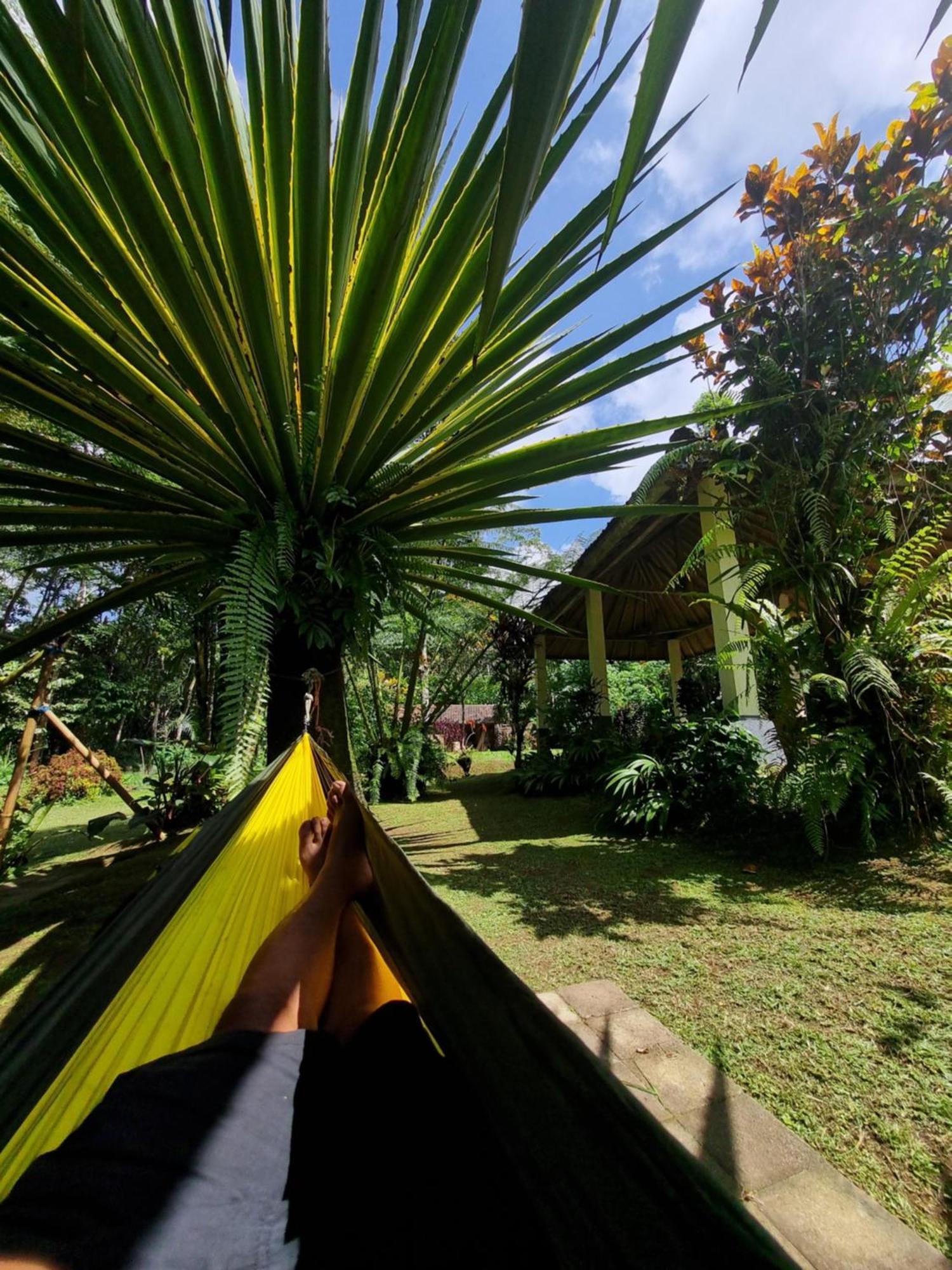 Carik Tangis Boutique Homestay Jatiluwih Extérieur photo