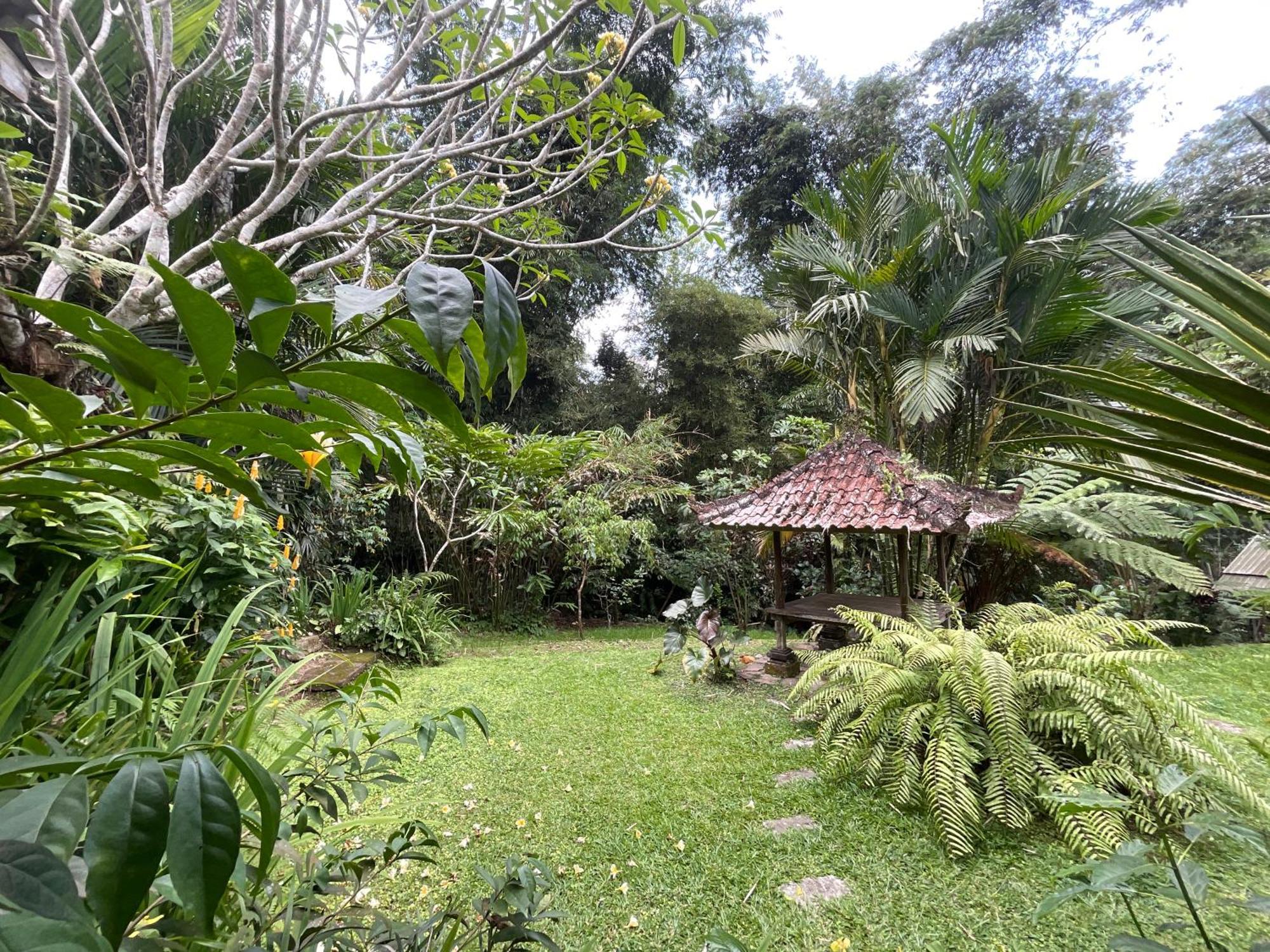 Carik Tangis Boutique Homestay Jatiluwih Extérieur photo