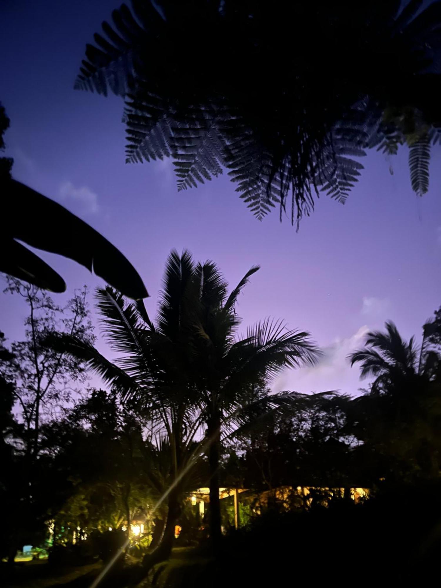 Carik Tangis Boutique Homestay Jatiluwih Extérieur photo