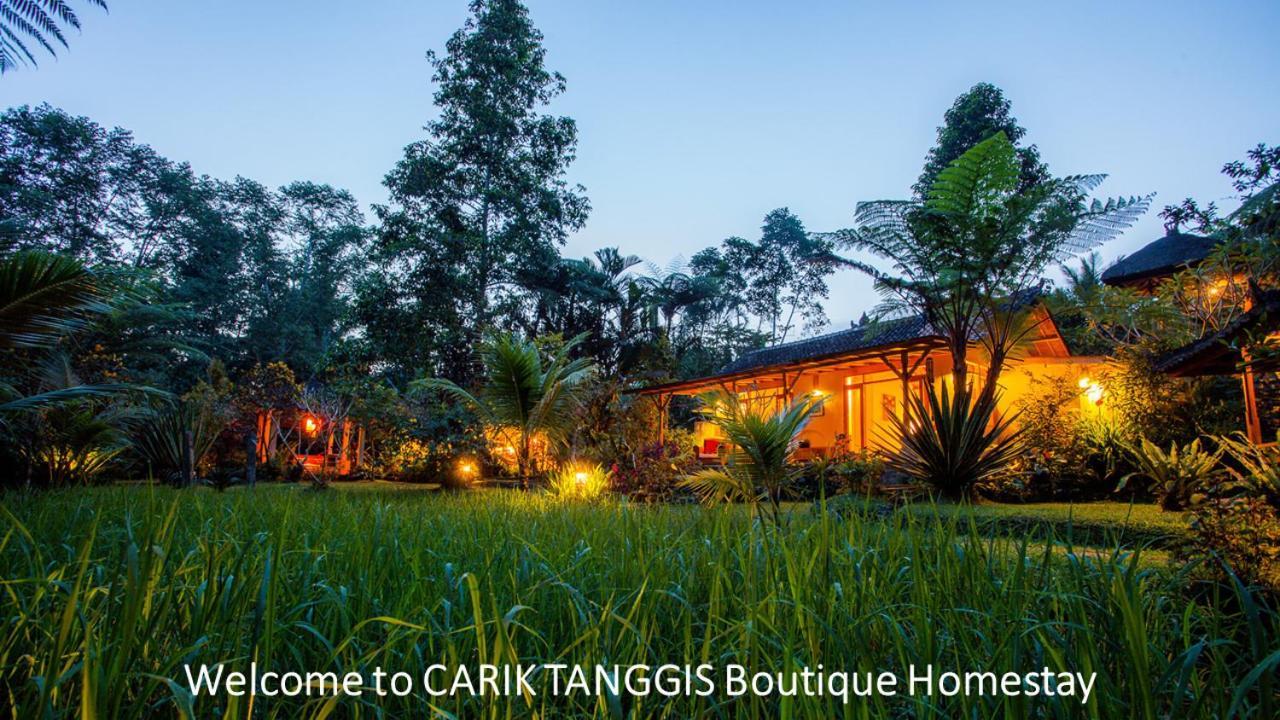 Carik Tangis Boutique Homestay Jatiluwih Extérieur photo
